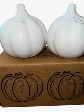 Farmhouse Pumpkin Salt Pepper Shaker Set Thanksgiving Decor